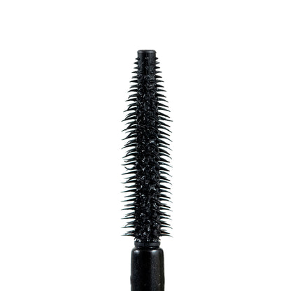PESTAÑINA FLASH LASH